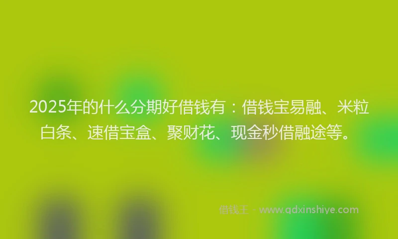 2025年的什么分期好借钱有：借钱宝易融、米粒白条、速借宝盒、聚财花、现金秒借融途等。