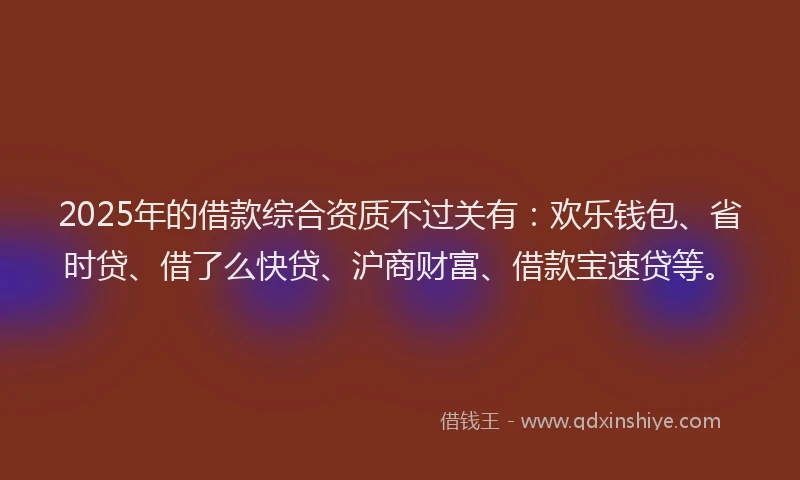 2025年的借款综合资质不过关有：欢乐钱包、省时贷、借了么快贷、沪商财富、借款宝速贷等。