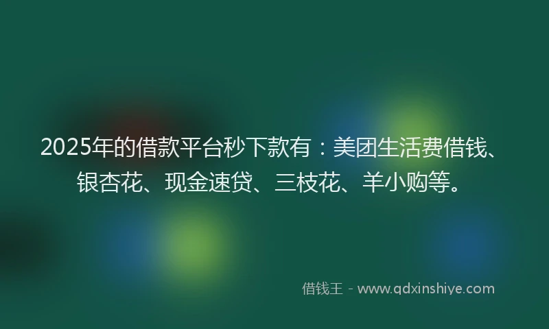 2025年的借款平台秒下款有：美团生活费借钱、银杏花、现金速贷、三枝花、羊小购等。