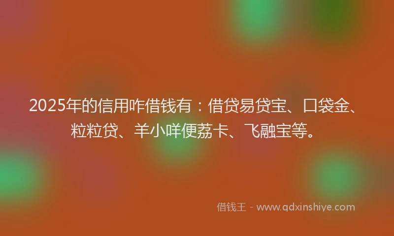 2025年的信用咋借钱有：借贷易贷宝、口袋金、粒粒贷、羊小咩便荔卡、飞融宝等。