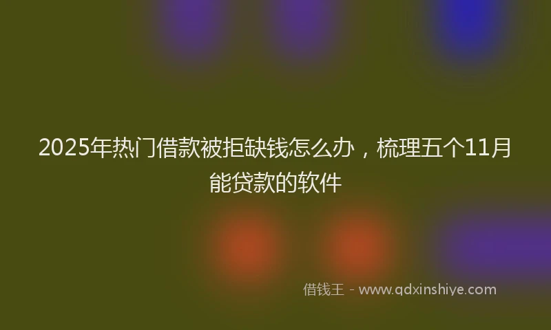 2025年热门借款被拒缺钱怎么办，梳理五个11月能贷款的软件