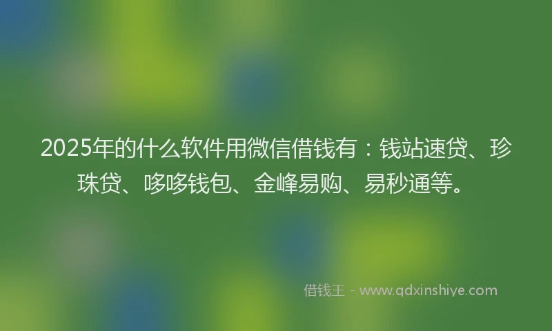 2025年的什么软件用微信借钱有：钱站速贷、珍珠贷、哆哆钱包、金峰易购、易秒通等。