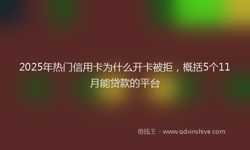 2025年热门信用卡为什么开卡被拒，概括5个11月能贷款的平台