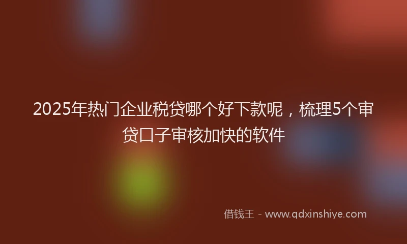 2025年热门企业税贷哪个好下款呢，梳理5个审贷口子审核加快的软件
