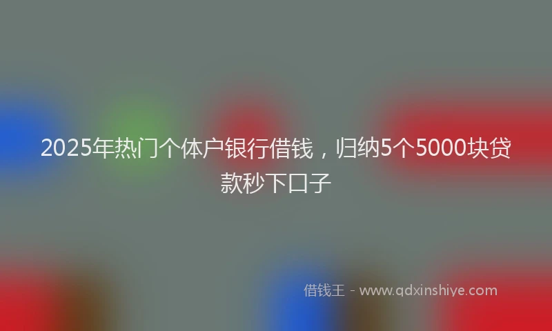 2025年热门个体户银行借钱,归纳5个5000块贷款秒下口子