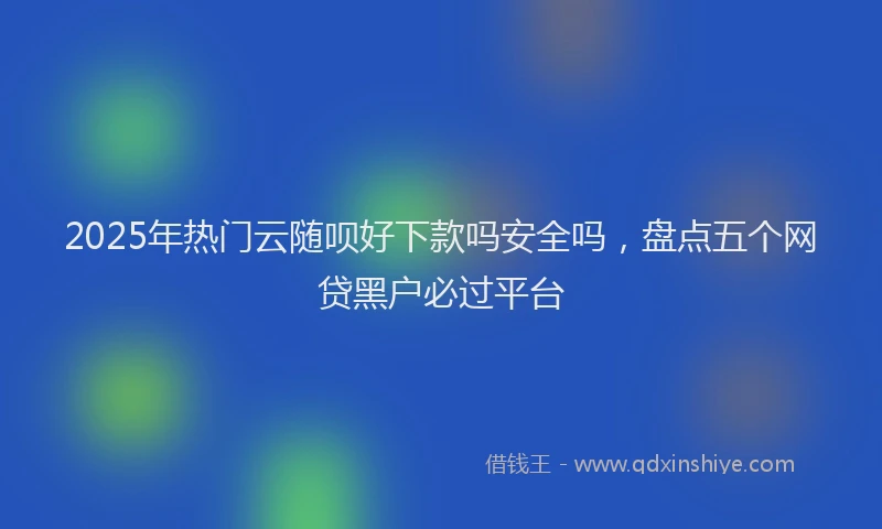 2025年热门云随呗好下款吗安全吗，盘点五个网贷黑户必过平台