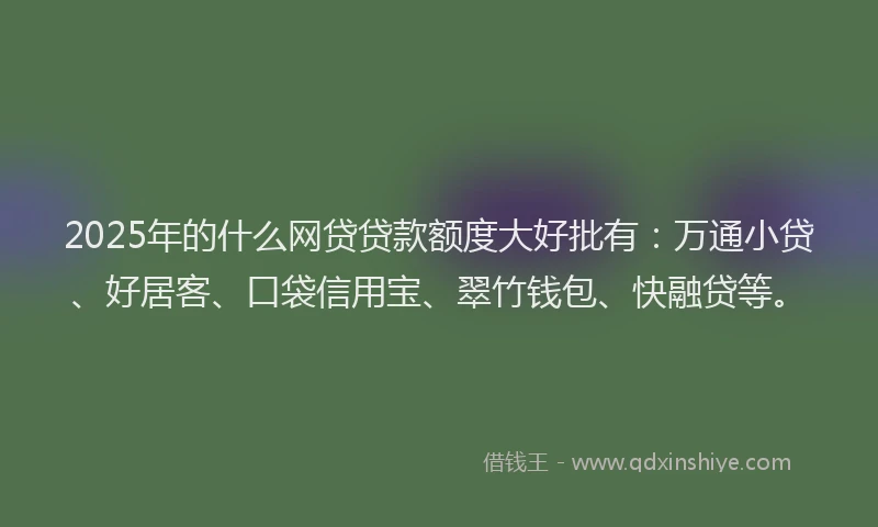 2025年的什么网贷贷款额度大好批有：万通小贷、好居客、口袋信用宝、翠竹钱包、快融贷等。