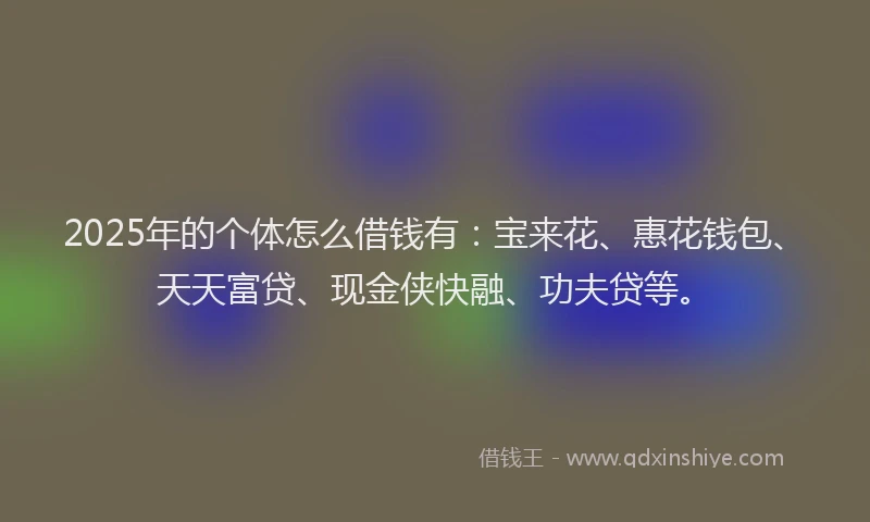 2025年的个体怎么借钱有：宝来花、惠花钱包、天天富贷、现金侠快融、功夫贷等。