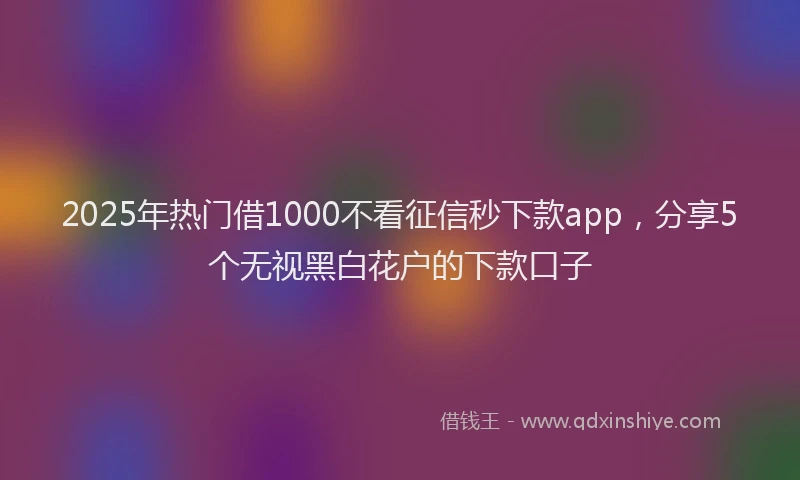 2025年热门借1000不看征信秒下款app，分享5个无视黑白花户的下款口子