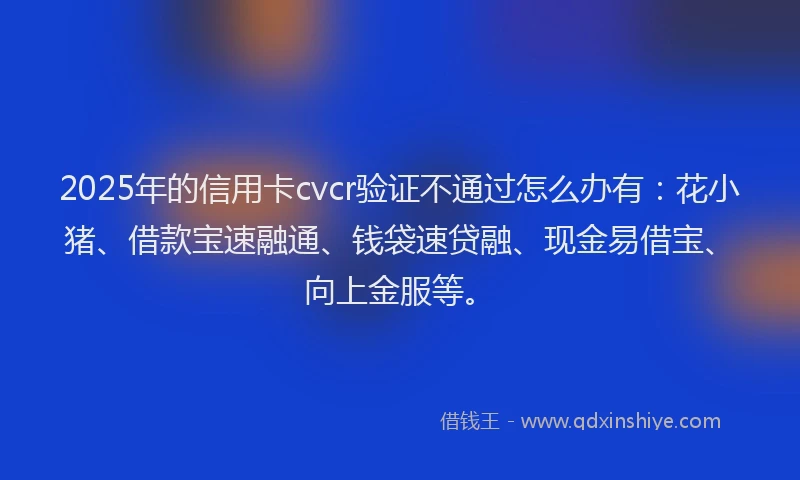 2025年的信用卡cvcr验证不通过怎么办有：花小猪、借款宝速融通、钱袋速贷融、现金易借宝、向上金服等。