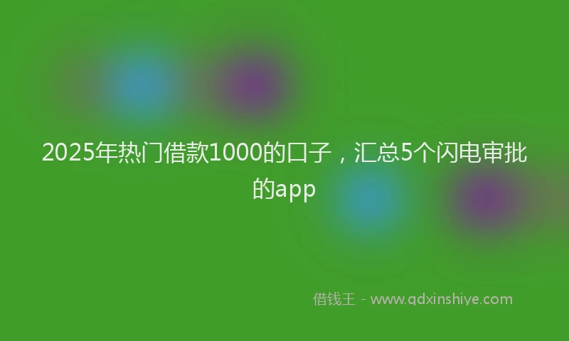 2025年热门借款1000的口子，汇总5个闪电审批的app