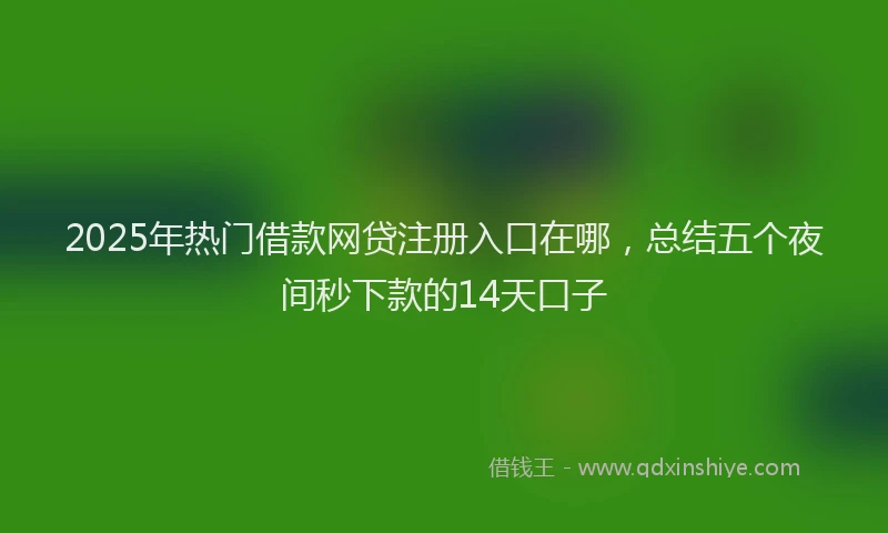 2025年热门借款网贷注册入口在哪，总结五个夜间秒下款的14天口子