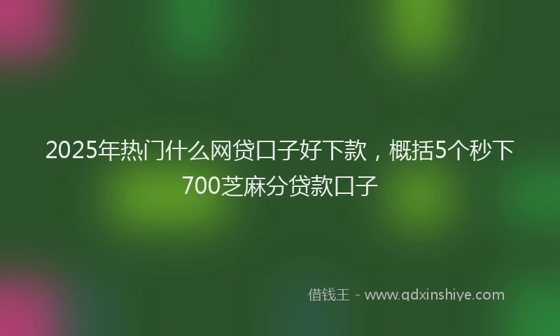 2025年热门什么网贷口子好下款，概括5个秒下700芝麻分贷款口子