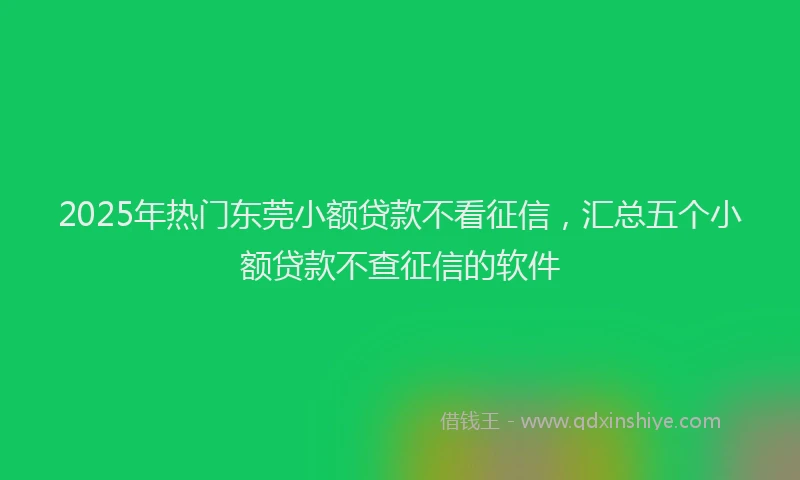 2025年热门东莞小额贷款不看征信,汇总五个小额贷款不查征信的软件