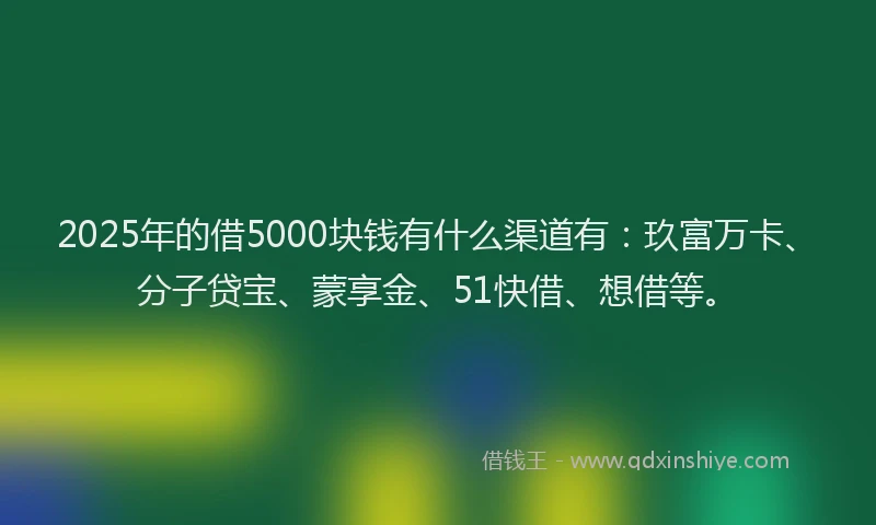 2025年的借5000块钱有什么渠道有：玖富万卡、分子贷宝、蒙享金、51快借、想借等。