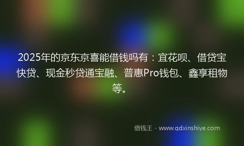 2025年的京东京喜能借钱吗有：宜花呗、借贷宝快贷、现金秒贷通宝融、普惠Pro钱包、鑫享租物等。