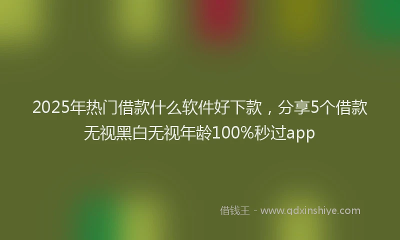 2025年热门借款什么软件好下款，分享5个借款无视黑白无视年龄100%秒过app