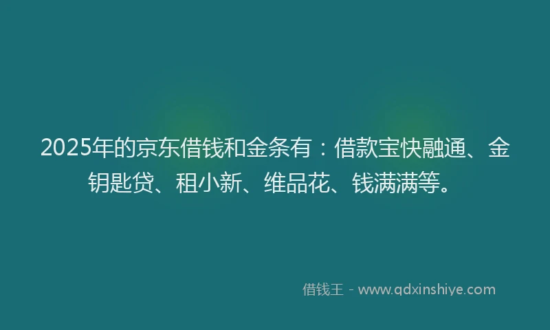 2025年的京东借钱和金条有：借款宝快融通、金钥匙贷、租小新、维品花、钱满满等。