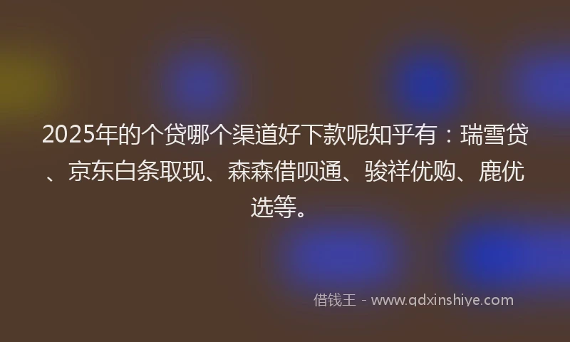 2025年的个贷哪个渠道好下款呢知乎有：瑞雪贷、京东白条取现、森森借呗通、骏祥优购、鹿优选等。