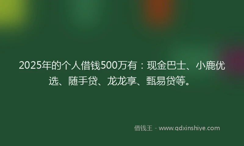 2025年的个人借钱500万有：现金巴士、小鹿优选、随手贷、龙龙享、甄易贷等。