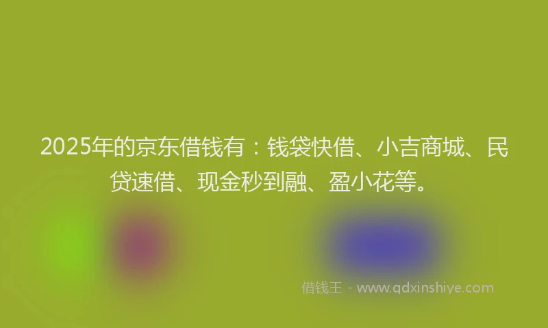 2025年的京东借钱有：钱袋快借、小吉商城、民贷速借、现金秒到融、盈小花等。