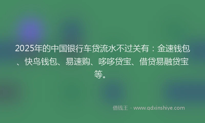 2025年的中国银行车贷流水不过关有：金速钱包、快鸟钱包、易速购、哆哆贷宝、借贷易融贷宝等。