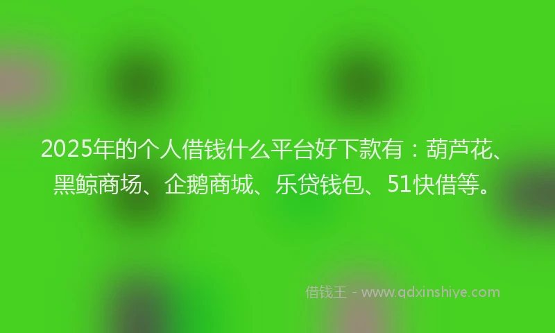 2025年的个人借钱什么平台好下款有：葫芦花、黑鲸商场、企鹅商城、乐贷钱包、51快借等。