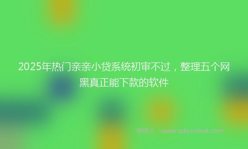 2025年热门亲亲小贷系统初审不过，整理五个网黑真正能下款的软件