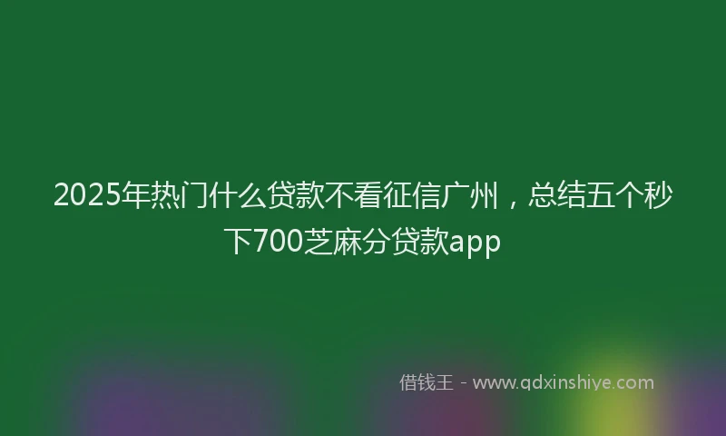 2025年热门什么贷款不看征信广州，总结五个秒下700芝麻分贷款app