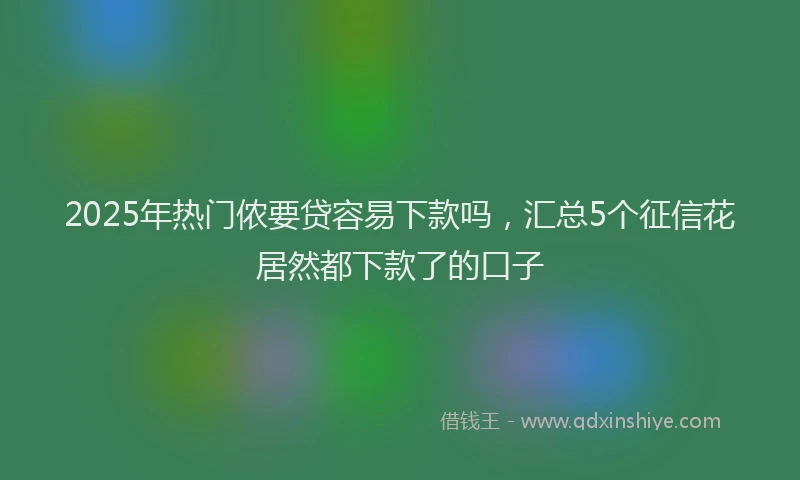 2025年热门侬要贷容易下款吗，汇总5个征信花居然都下款了的口子