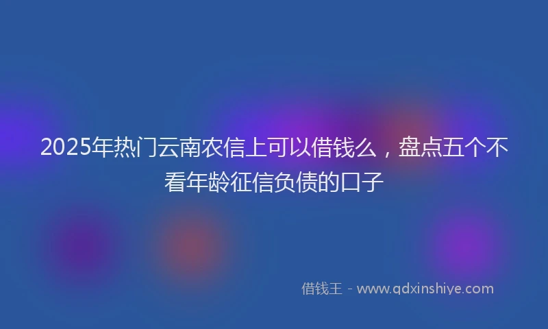 2025年热门云南农信上可以借钱么，盘点五个不看年龄征信负债的口子