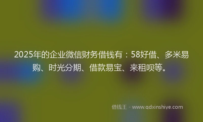 2025年的企业微信财务借钱有：58好借、多米易购、时光分期、借款易宝、来租呗等。