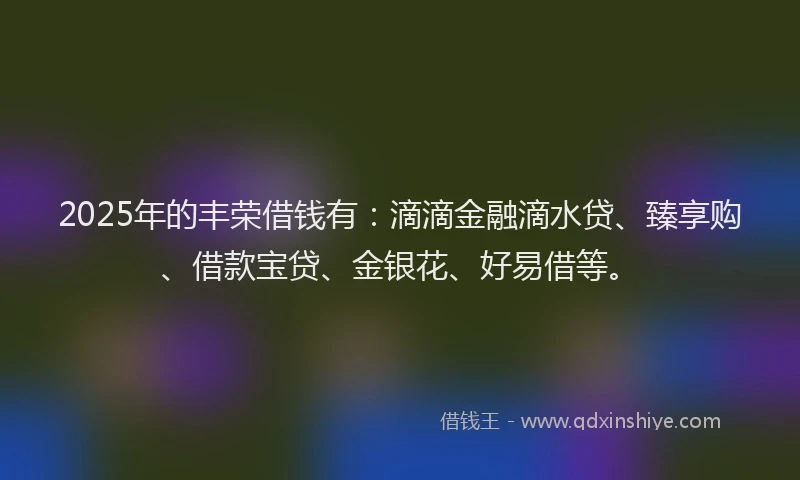 2025年的丰荣借钱有：滴滴金融滴水贷、臻享购、借款宝贷、金银花、好易借等。