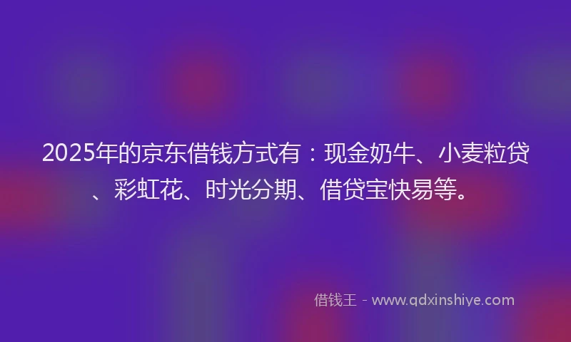 2025年的京东借钱方式有：现金奶牛、小麦粒贷、彩虹花、时光分期、借贷宝快易等。