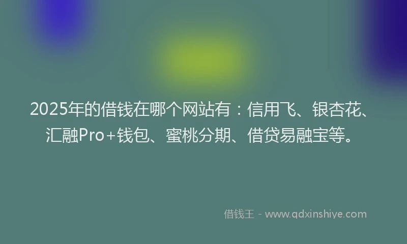 2025年的借钱在哪个网站有：信用飞、银杏花、汇融Pro+钱包、蜜桃分期、借贷易融宝等。