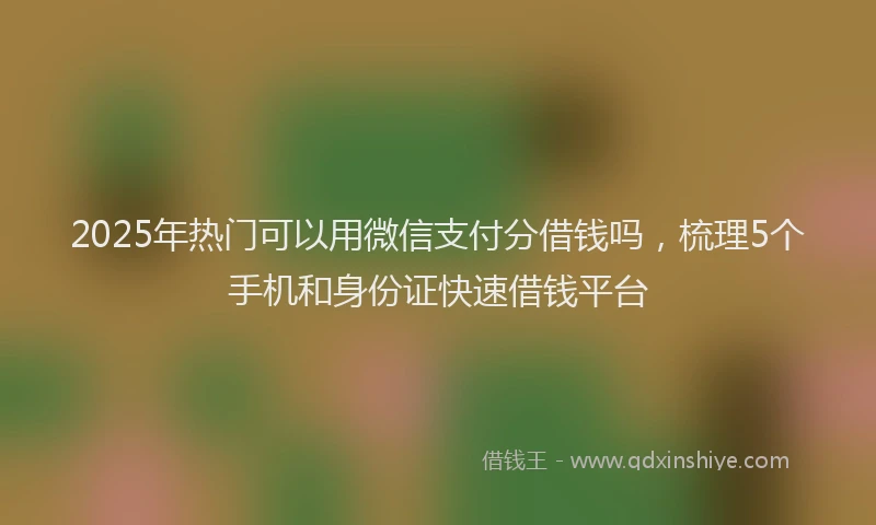 2025年热门可以用微信支付分借钱吗，梳理5个手机和身份证快速借钱平台