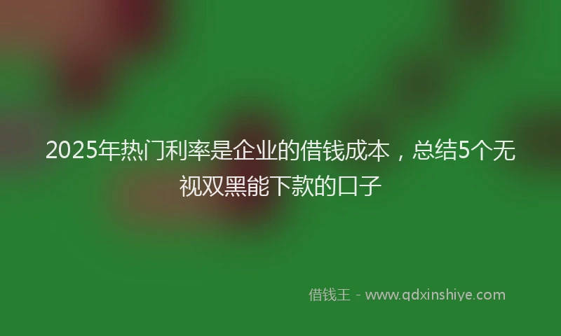 2025年热门利率是企业的借钱成本，总结5个无视双黑能下款的口子