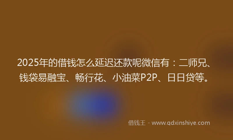 2025年的借钱怎么延迟还款呢微信有：二师兄、钱袋易融宝、畅行花、小油菜P2P、日日贷等。
