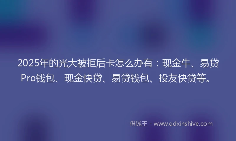 2025年的光大被拒后卡怎么办有：现金牛、易贷Pro钱包、现金快贷、易贷钱包、投友快贷等。