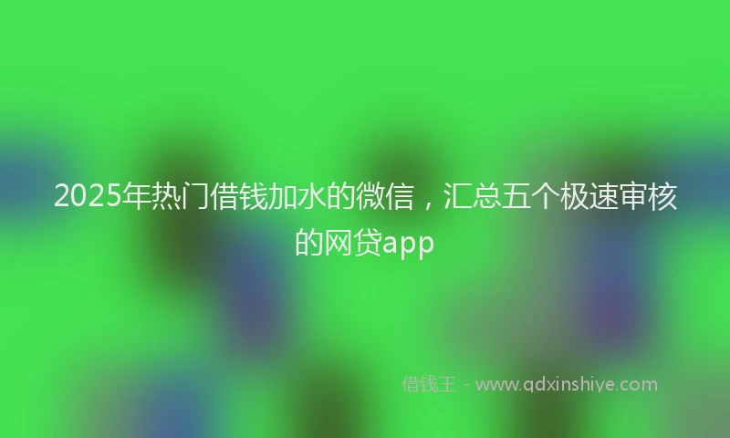 2025年热门借钱加水的微信，汇总五个极速审核的网贷app