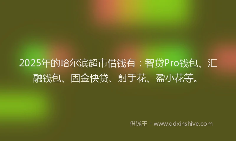 2025年的哈尔滨超市借钱有：智贷Pro钱包、汇融钱包、固金快贷、射手花、盈小花等。