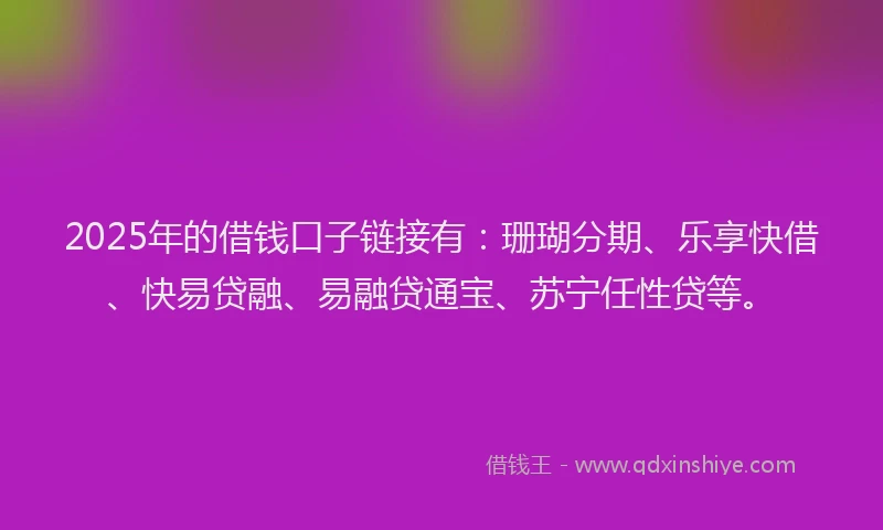 2025年的借钱口子链接有：珊瑚分期、乐享快借、快易贷融、易融贷通宝、苏宁任性贷等。