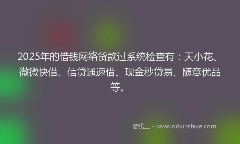 2025年的借钱网络贷款过系统检查有：天小花、微微快借、信贷通速借、现金秒贷易、随意优品等。