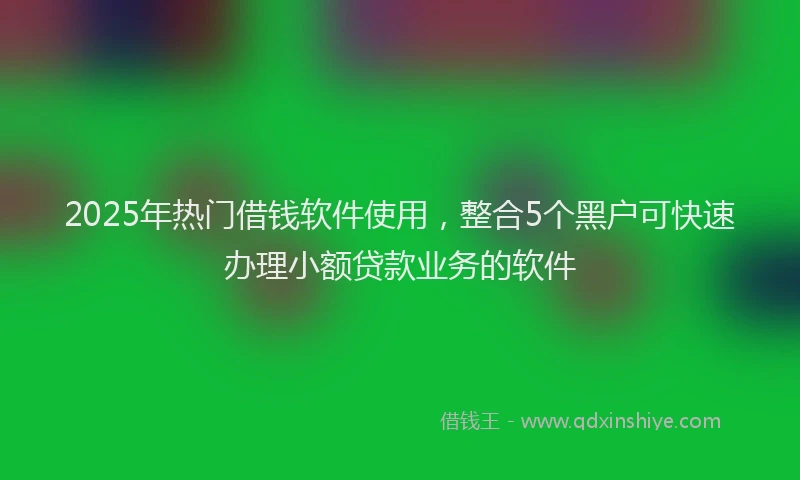 2025年热门借钱软件使用，整合5个黑户可快速办理小额贷款业务的软件