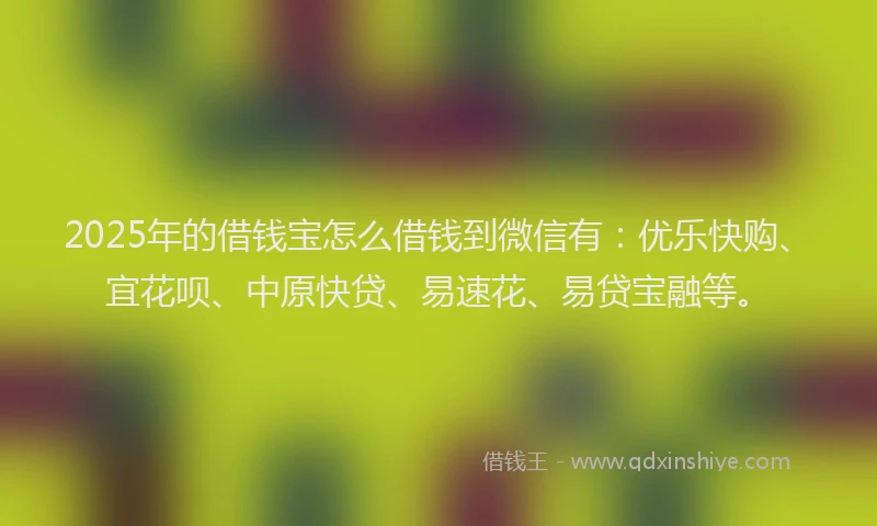 2025年的借钱宝怎么借钱到微信有：优乐快购、宜花呗、中原快贷、易速花、易贷宝融等。