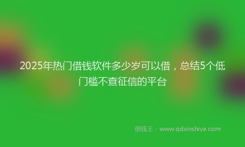 2025年热门借钱软件多少岁可以借，总结5个低门槛不查征信的平台