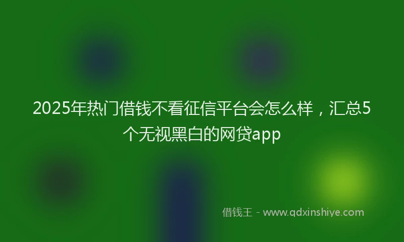 2025年热门借钱不看征信平台会怎么样，汇总5个无视黑白的网贷app
