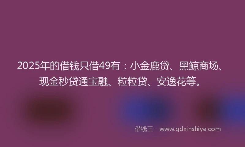 2025年的借钱只借49有：小金鹿贷、黑鲸商场、现金秒贷通宝融、粒粒贷、安逸花等。