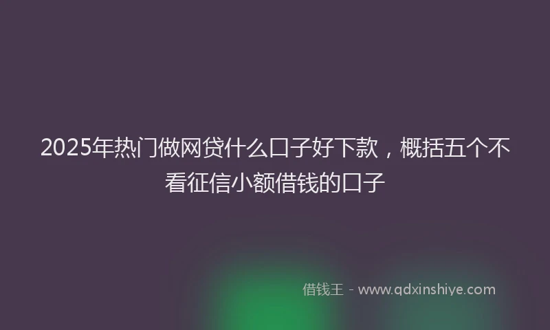 2025年热门做网贷什么口子好下款，概括五个不看征信小额借钱的口子