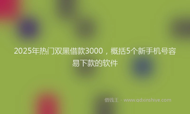 2025年热门双黑借款3000，概括5个新手机号容易下款的软件